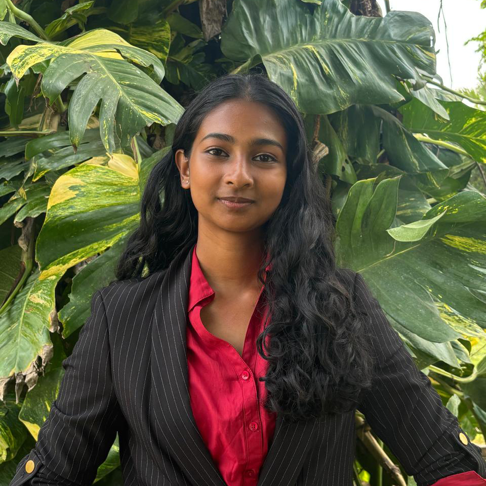 Under-Secretary-General of IT & Photography